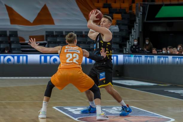 菲斯灰熊即 菲斯灰熊即